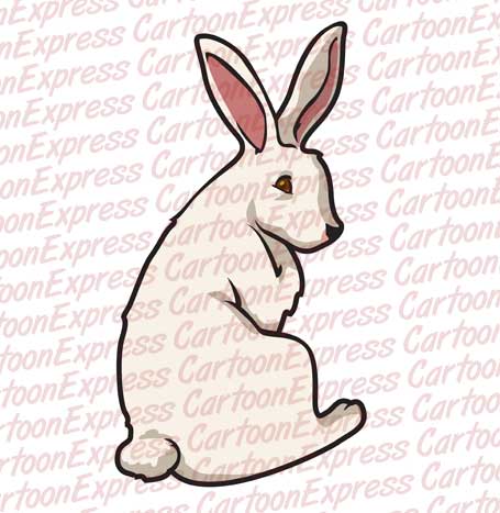bunny